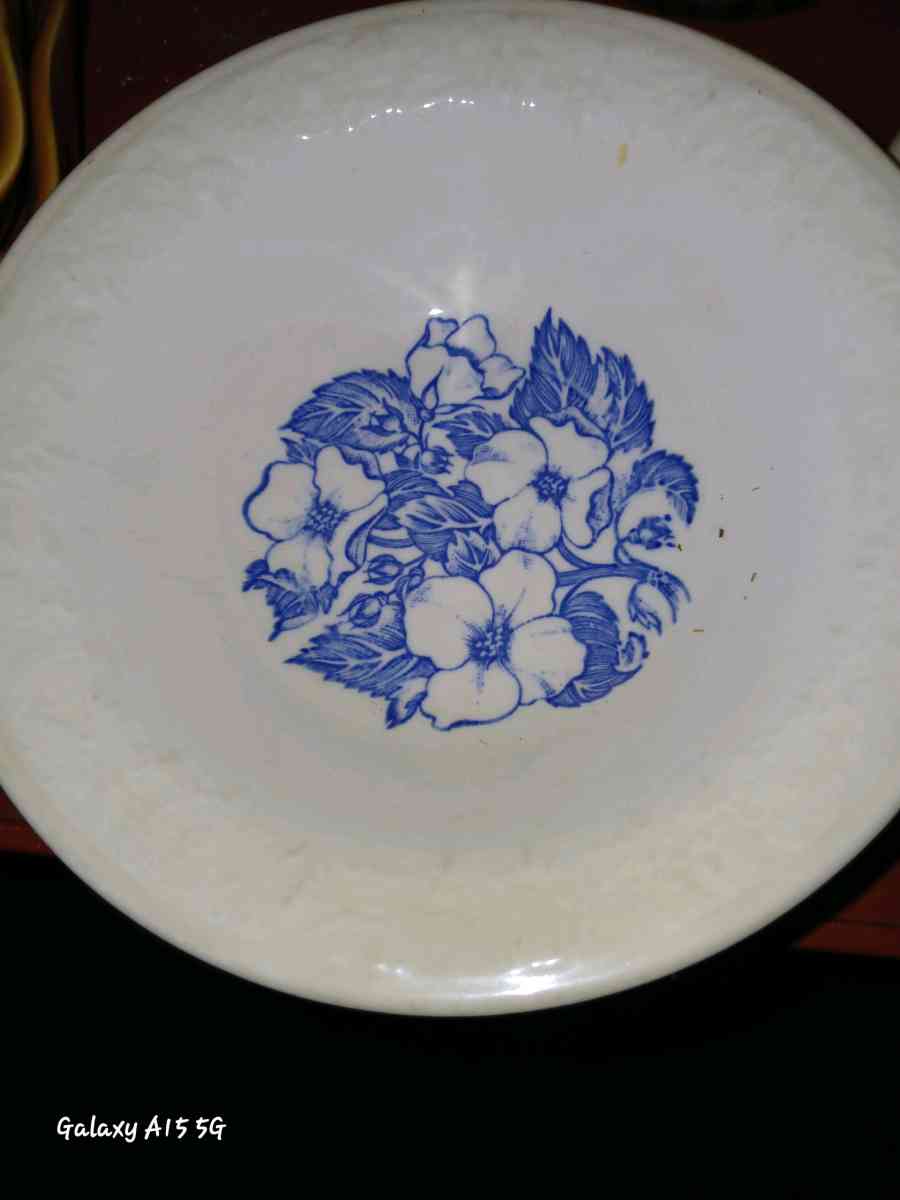 Homer Laughlin Wild Rose cereal bowl - Ewing, Virginia