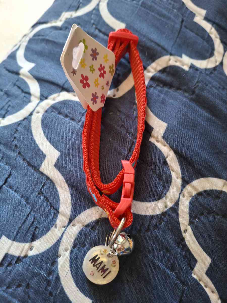 collar y id tag rojo - Fajardo, Puerto Rico - FleaMarketBay