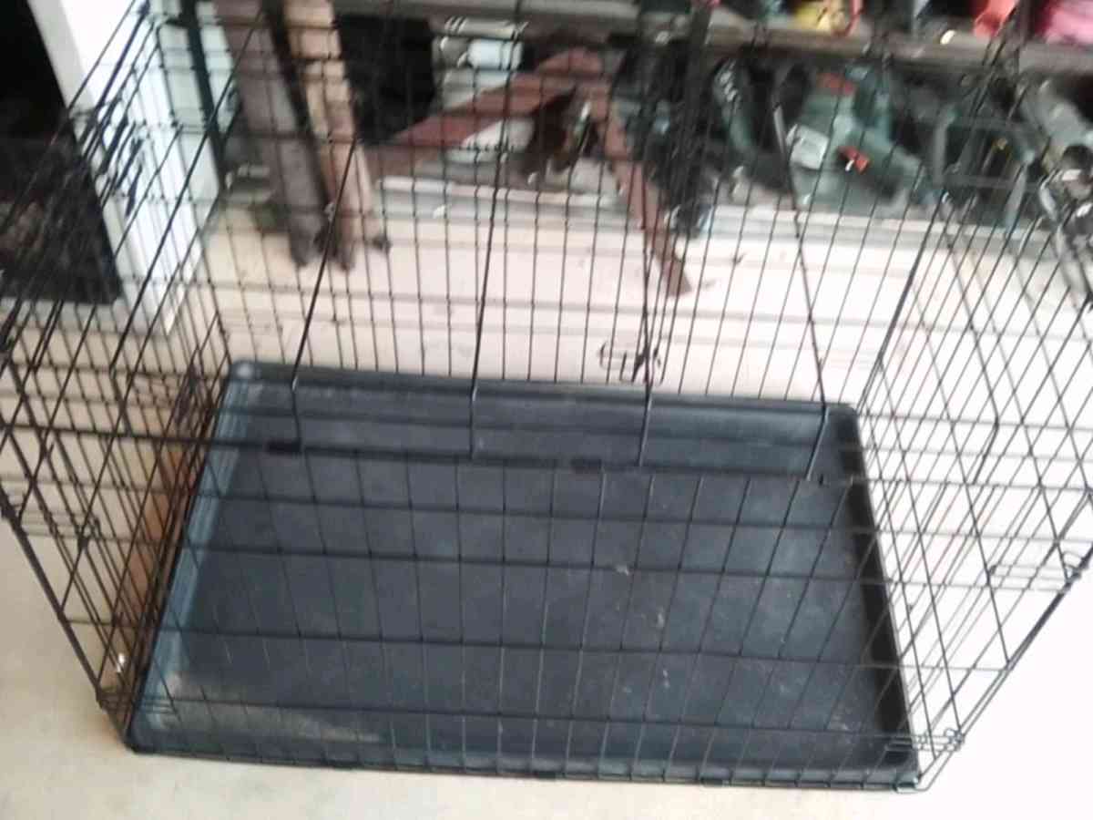 chewy large dog cage 36 by 22 - Las Vegas, Nevada