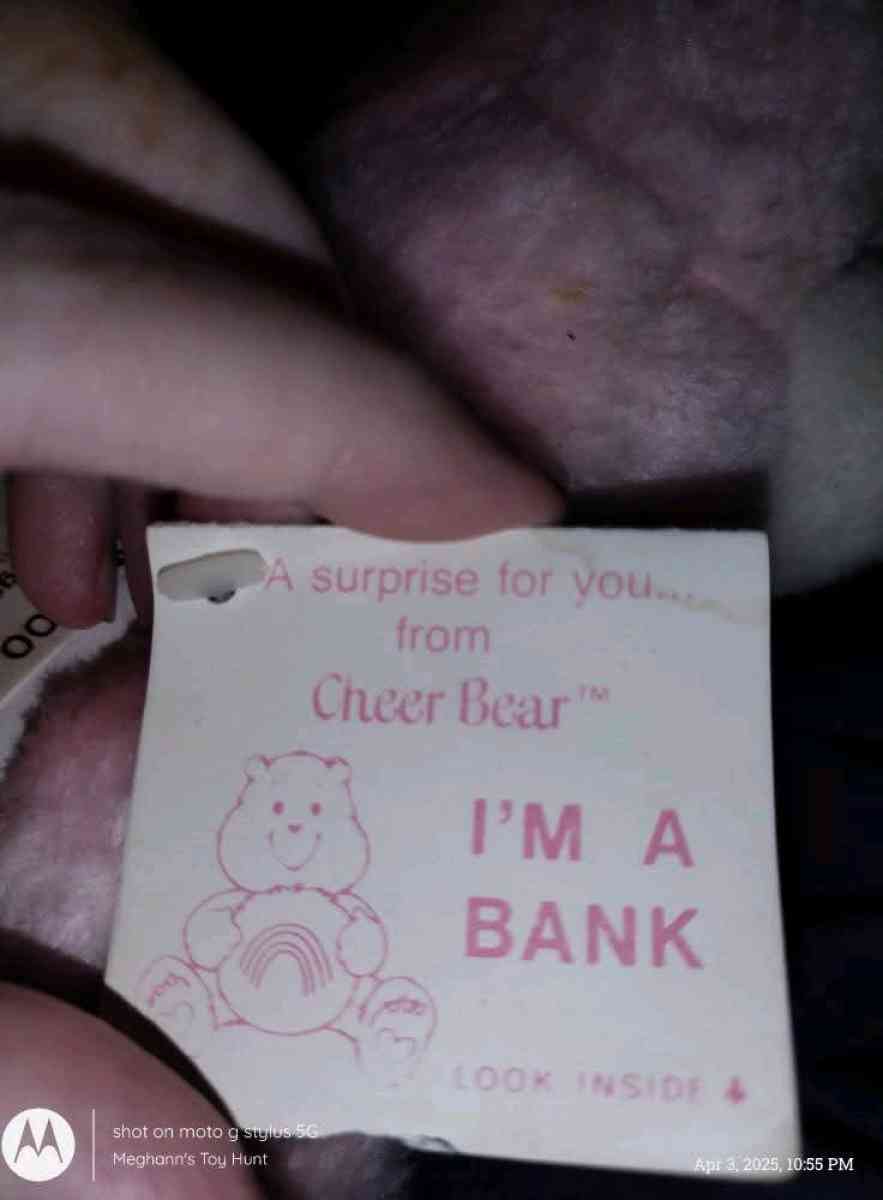 Vtg Care Bears Cheer Bear Plush Coin Bank - Saint Charles, Missouri - FleaMarketBay