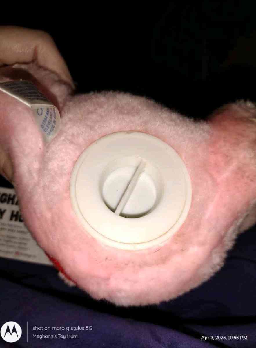 Vtg Care Bears Cheer Bear Plush Coin Bank - Saint Charles, Missouri - FleaMarketBay