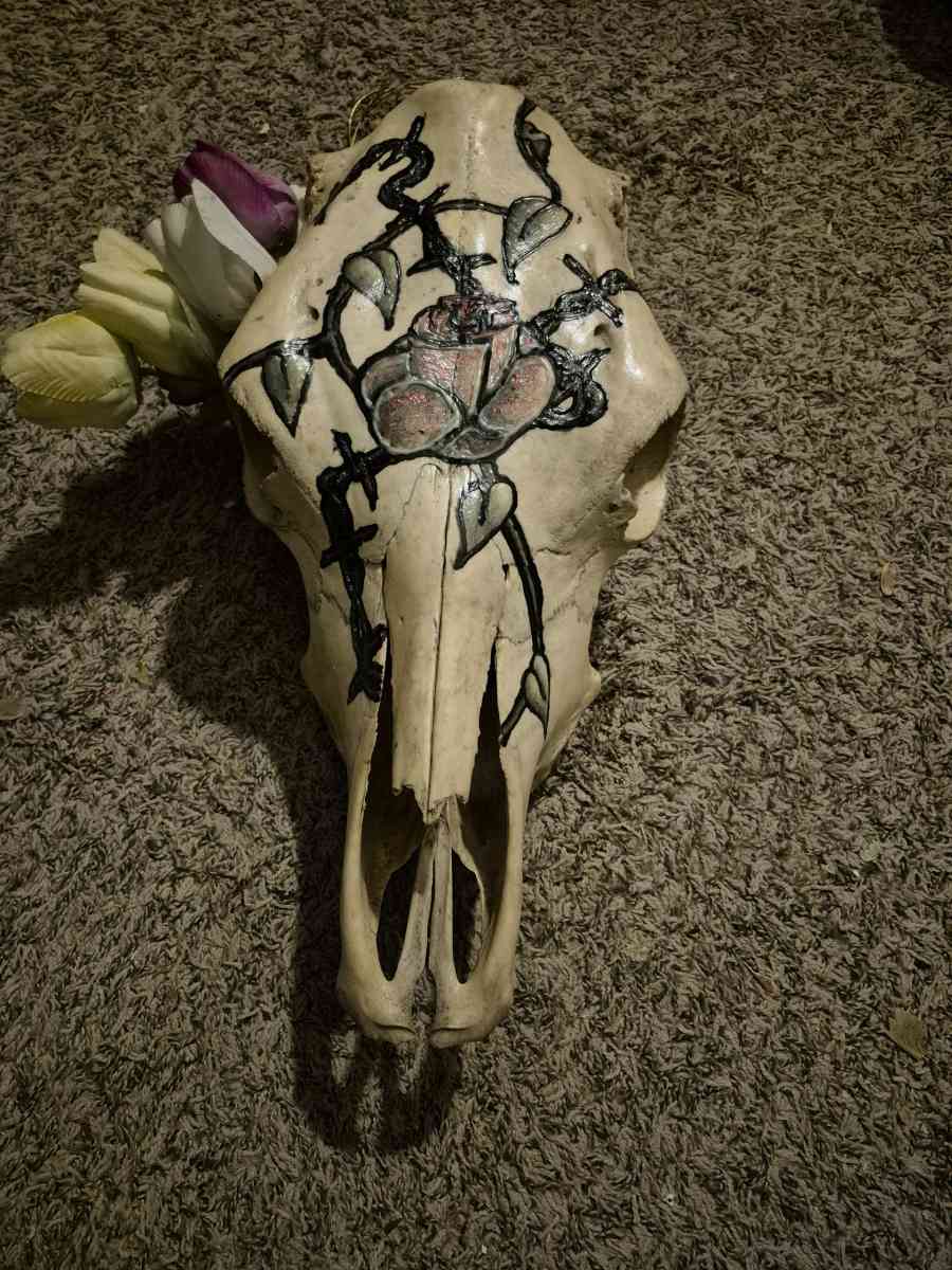 cows skull artwork - Adair, Oklahoma