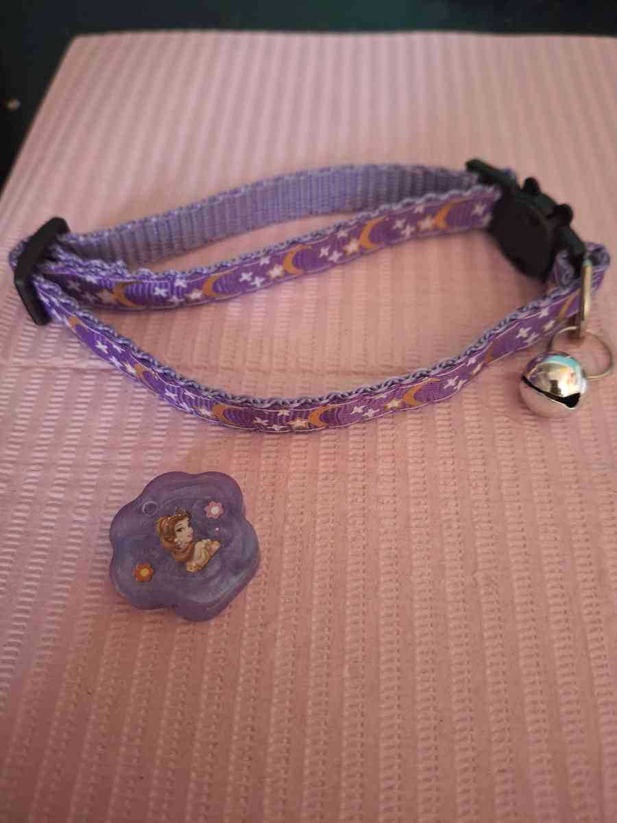 collar y tag id violeta