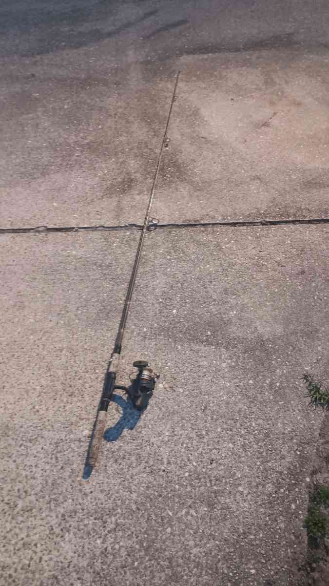 2 rodes - Tallahassee, Florida