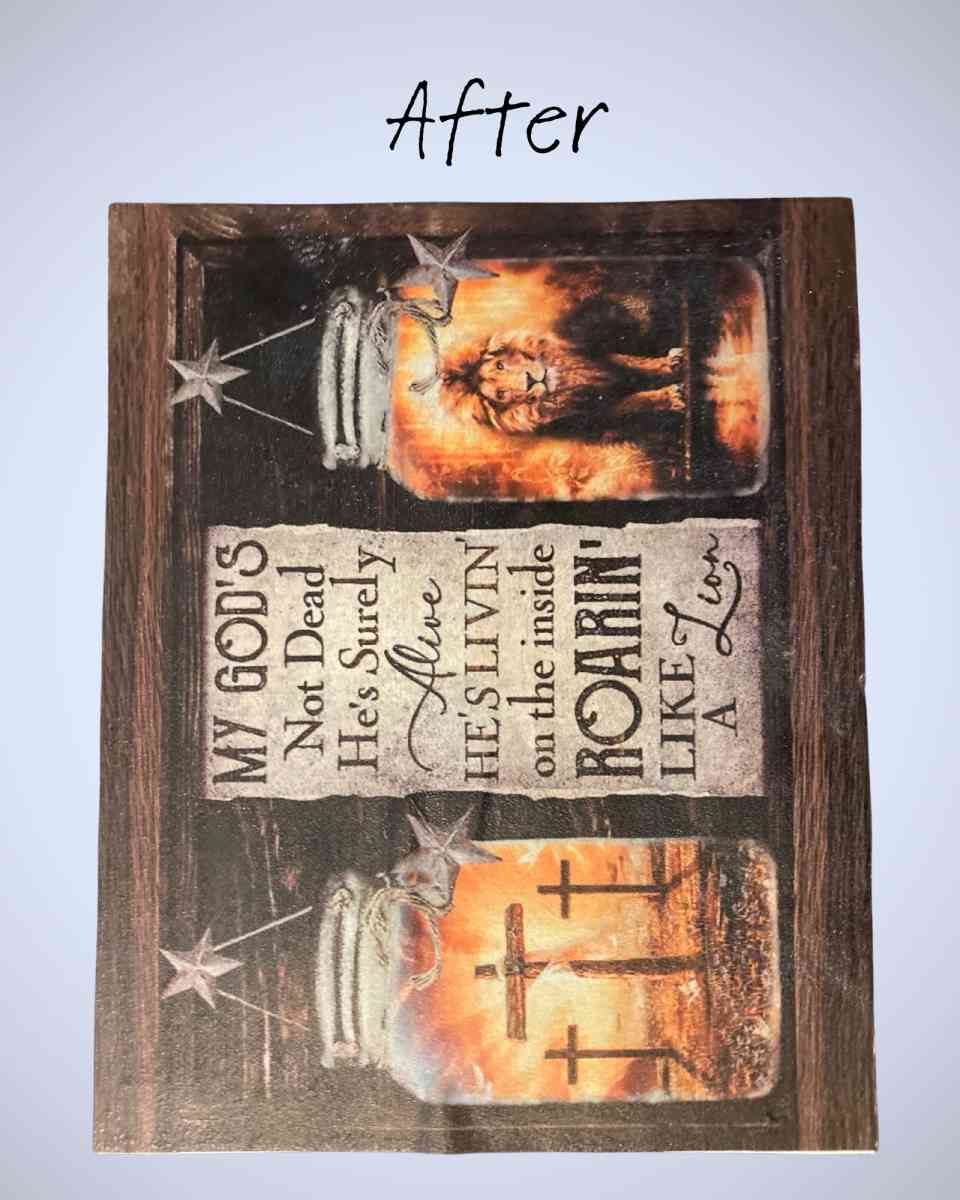 Lion and Lamb In A Jar  Handmade Canvas Art - Princeton, West Virginia - FleaMarketBay