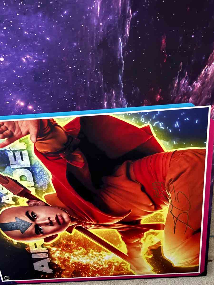 These are big panels signed by the actress or voice actor - Zebulon, North Carolina - FleaMarketBay