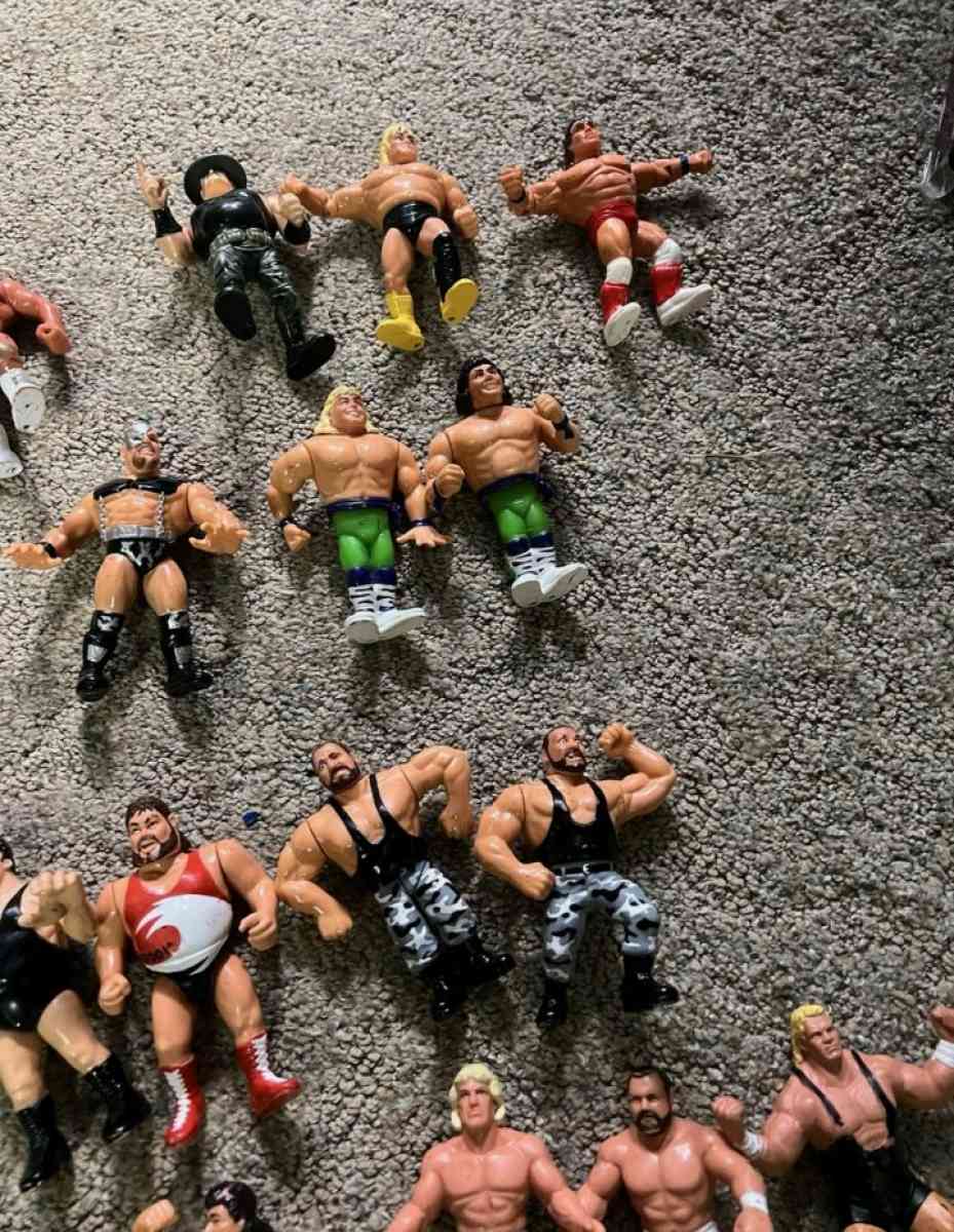 1990s Hasbro WWF Action Figures - Gainesboro, Tennessee