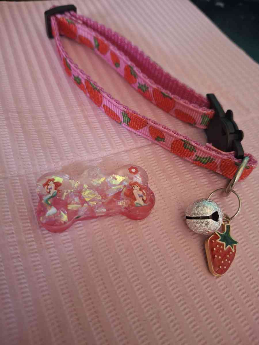 collar y id tag ariel - Fajardo, Puerto Rico - FleaMarketBay