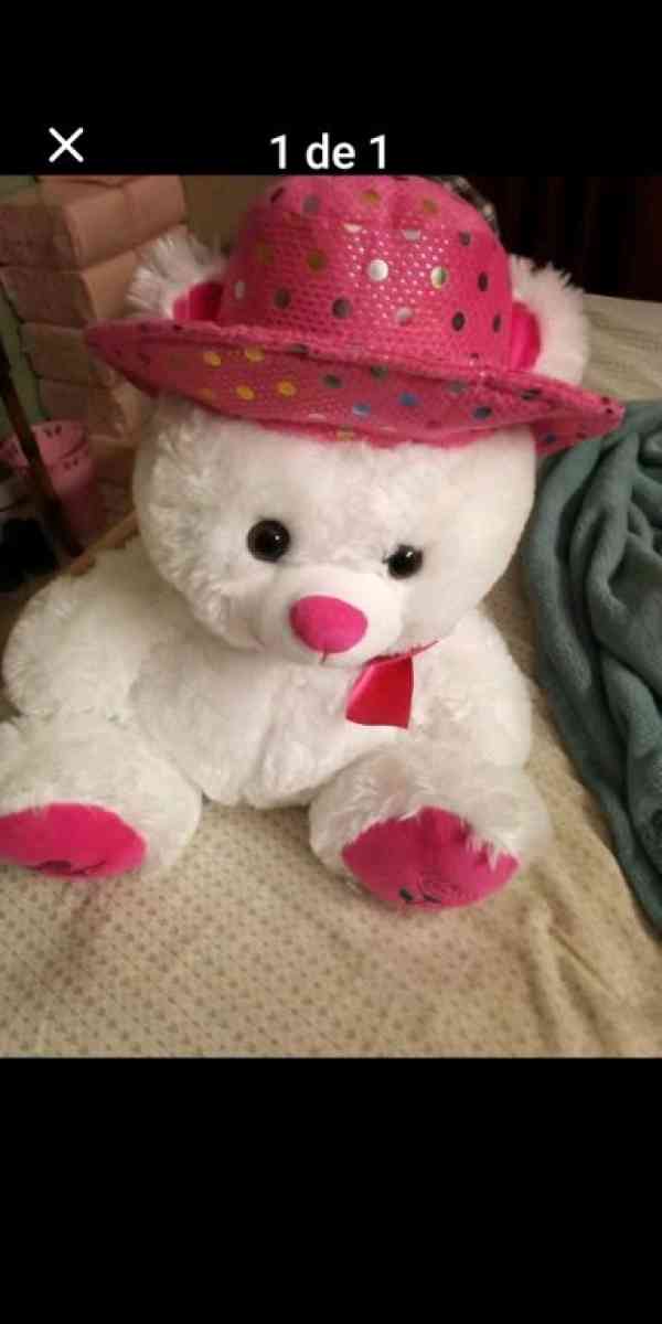 teddy bear - Altamonte Springs, Florida