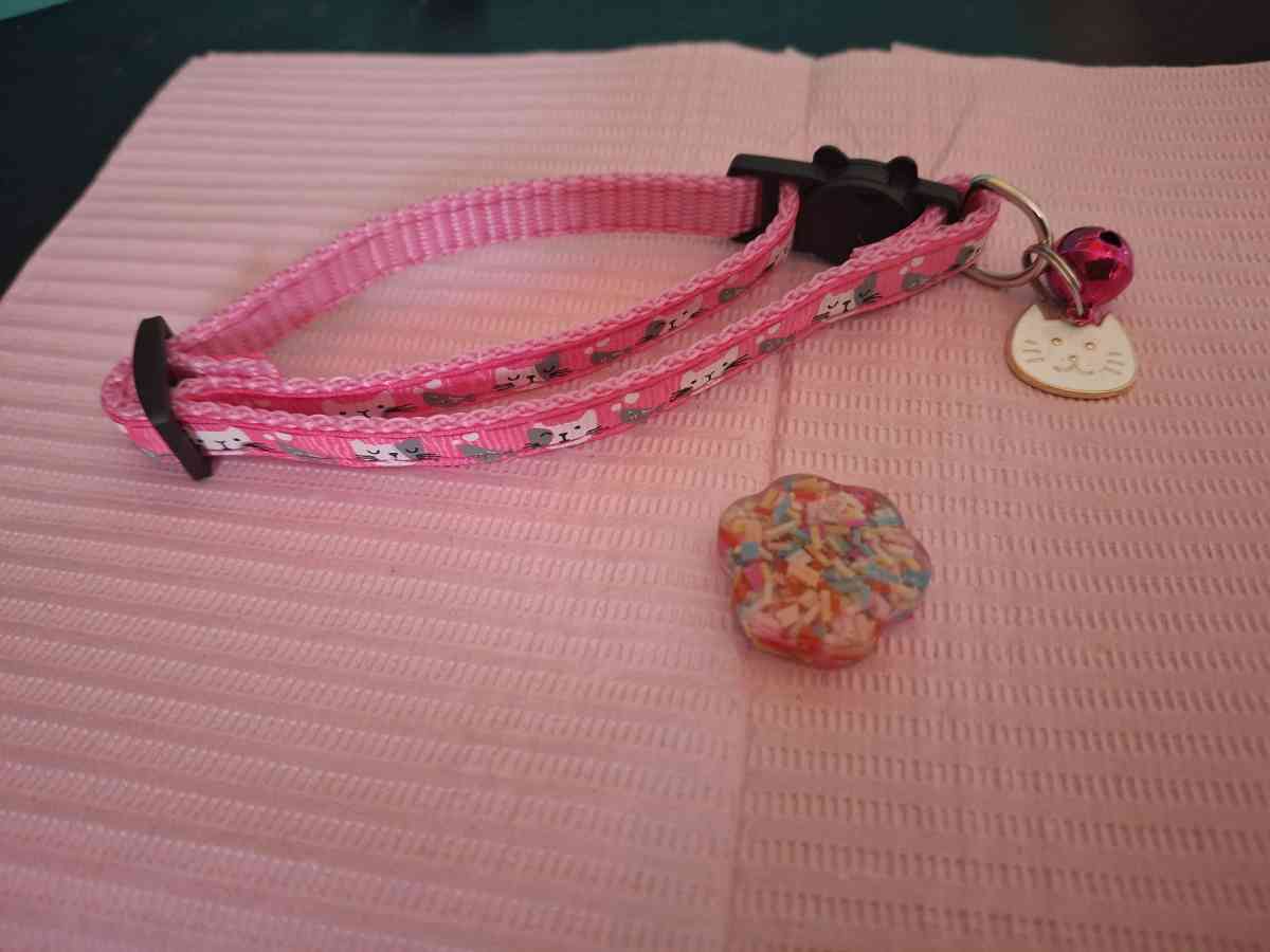 Collar y tag id Sprinkles