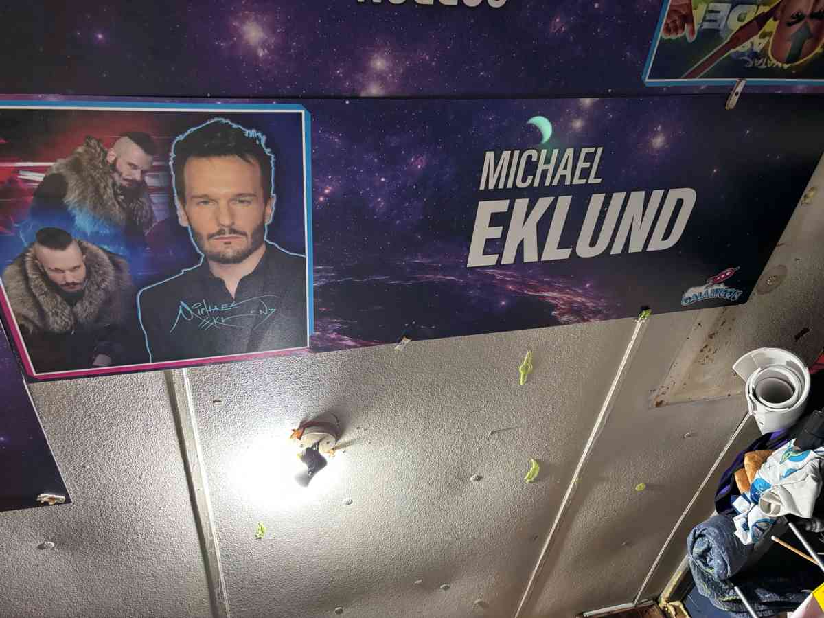 These are big panels signed by the actress or voice actor - Zebulon, North Carolina - FleaMarketBay