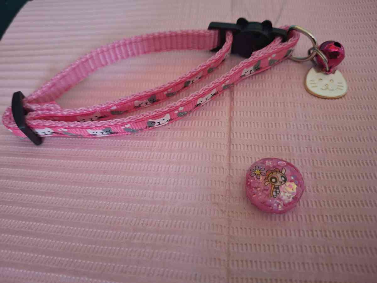 Collar y Tag Id PPG Rosa