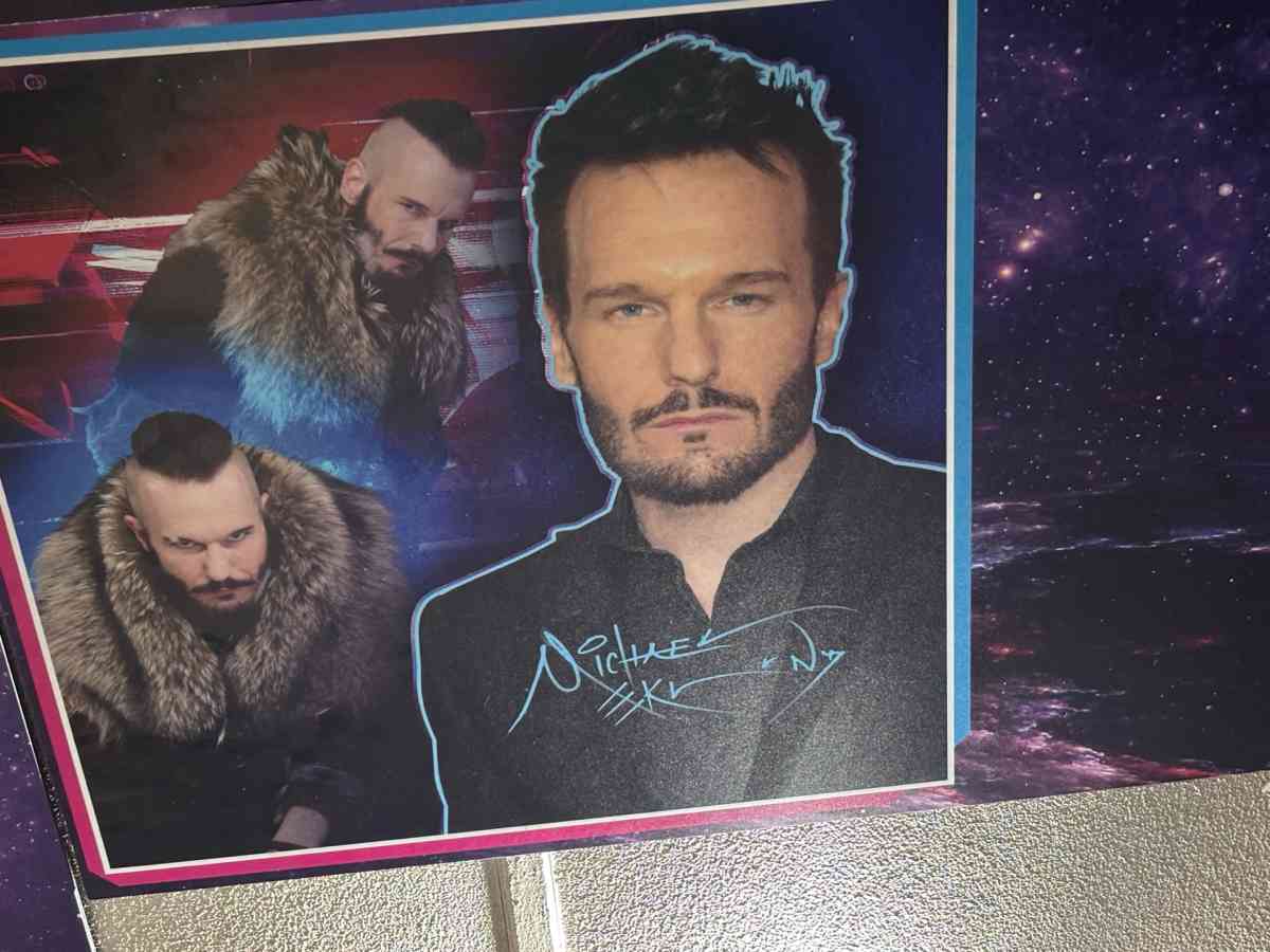 These are big panels signed by the actress or voice actor - Zebulon, North Carolina - FleaMarketBay