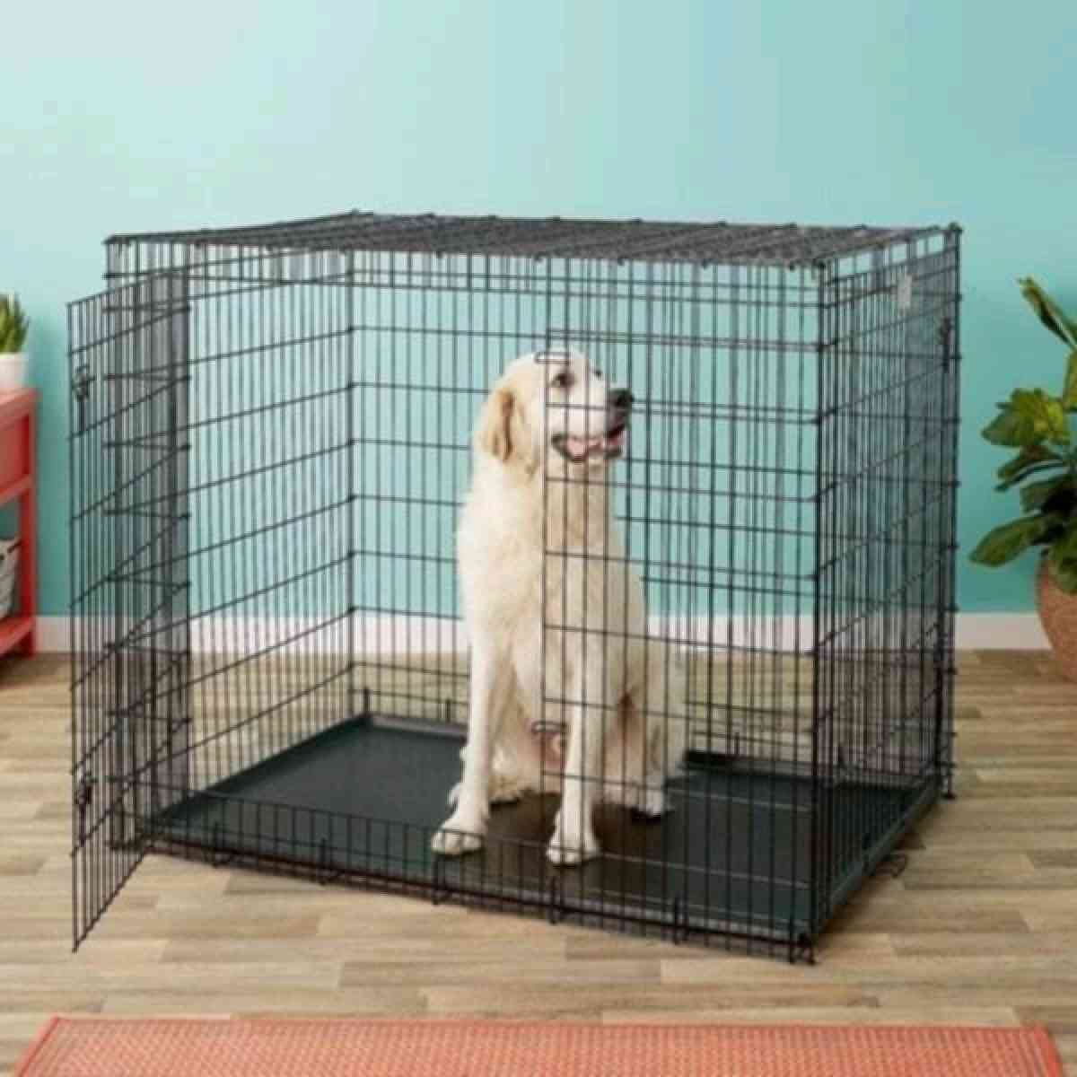 chewy large dog cage 36 by 22 - Las Vegas, Nevada - FleaMarketBay