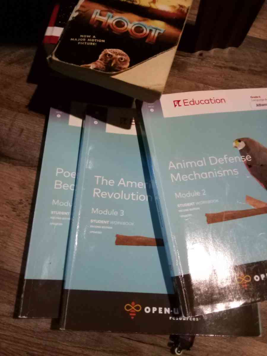 childrens books - Mc Minnville, Tennessee - FleaMarketBay