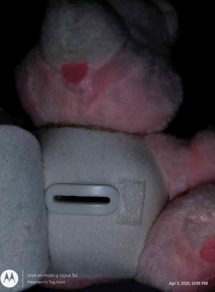 Vtg Care Bears Cheer Bear Plush Coin Bank - Saint Charles, Missouri - FleaMarketBay