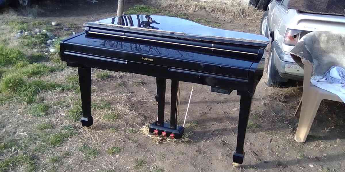 Baby Grand Recorder Piano - Kennewick, Washington - FleaMarketBay