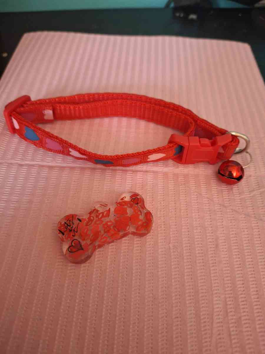 collar y tag id rojo
