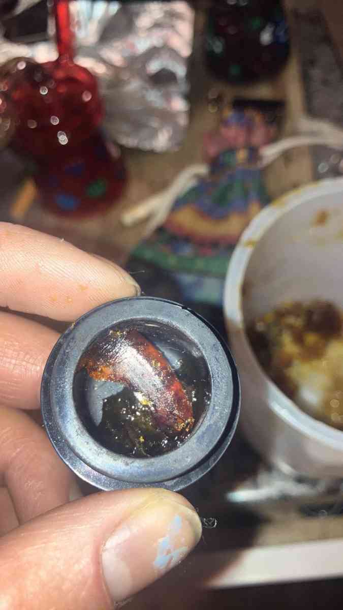 white grapefruit - Medford, Oregon