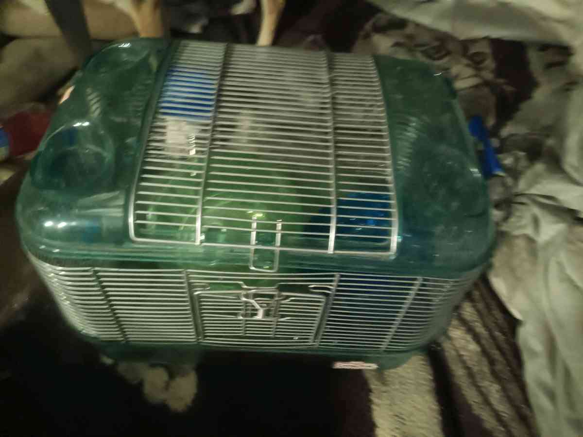 hamster cage - Bergholz, Ohio