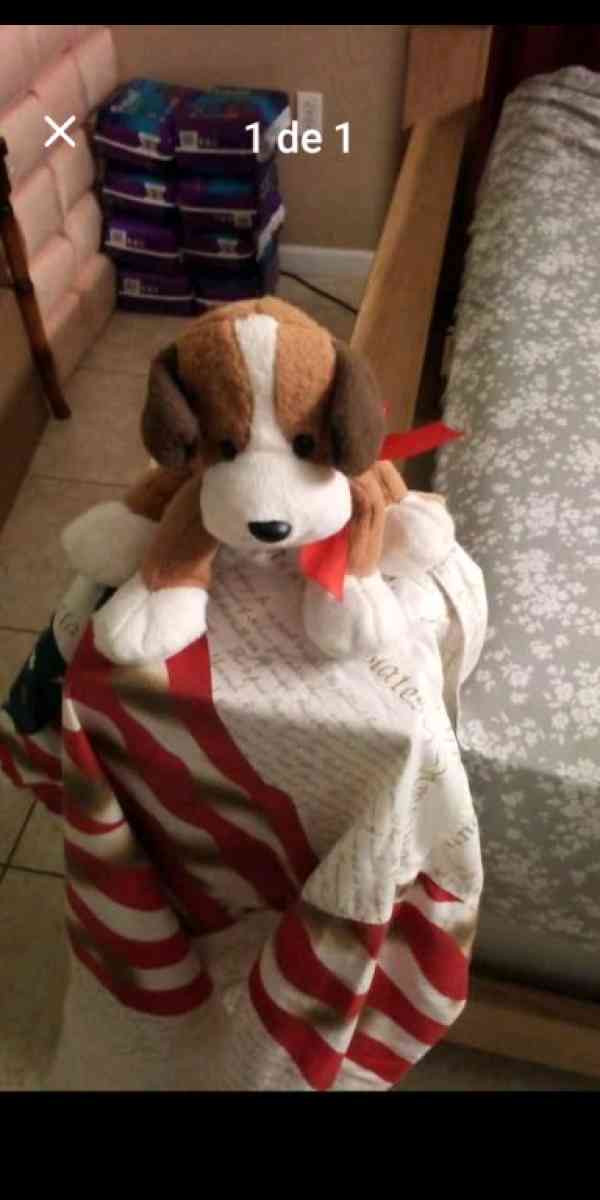 teddy bear - Altamonte Springs, Florida