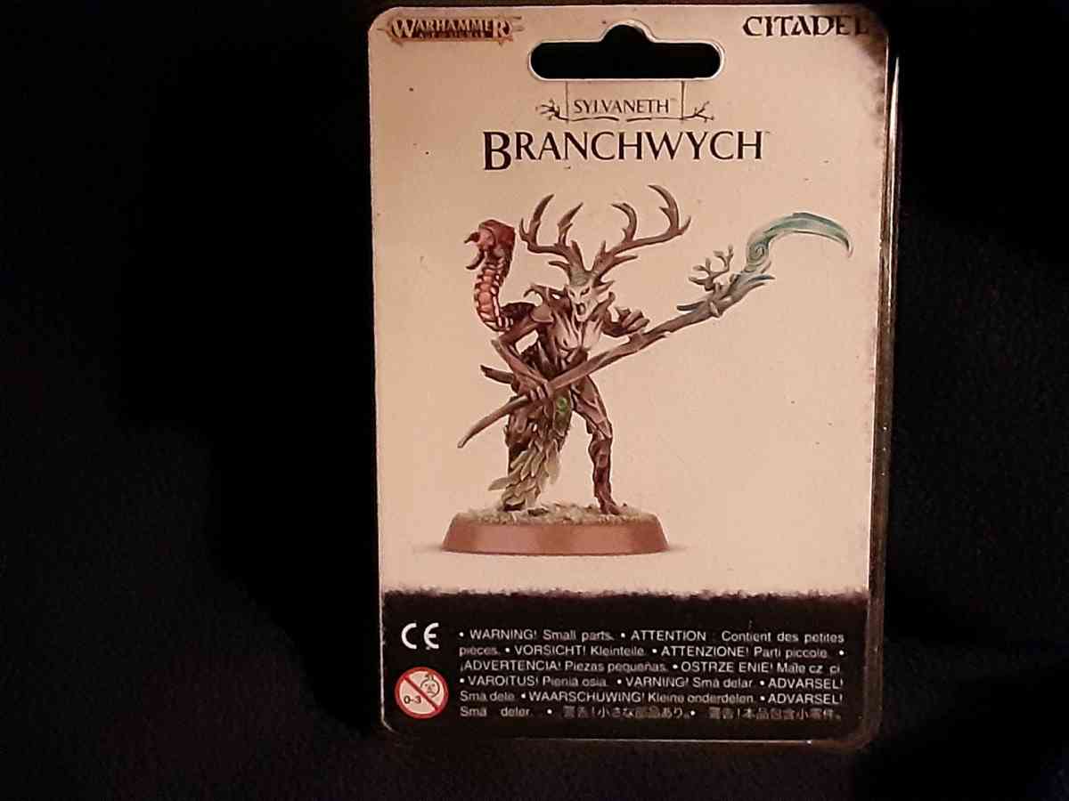 Branchwych - Macclenny, Florida