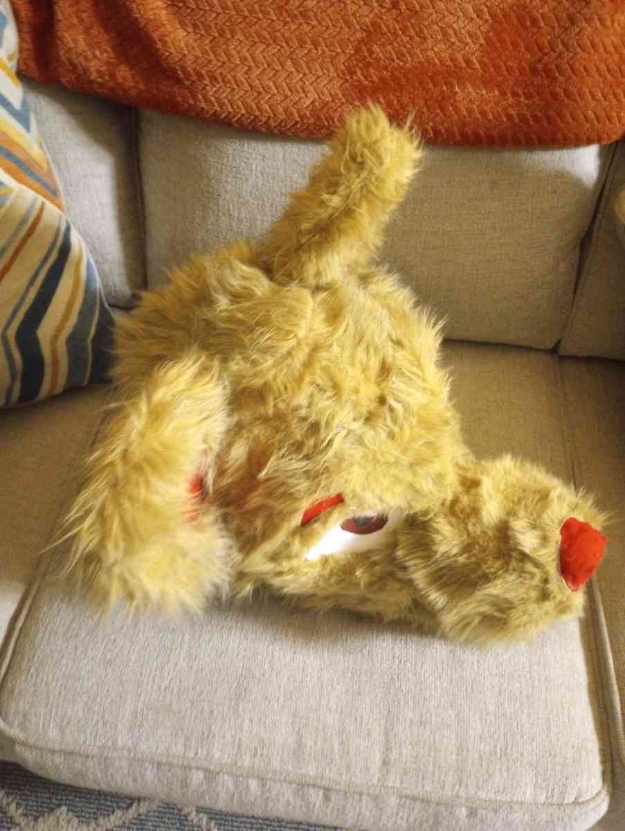 Mascot Wolf Head - Naugatuck, Connecticut - FleaMarketBay