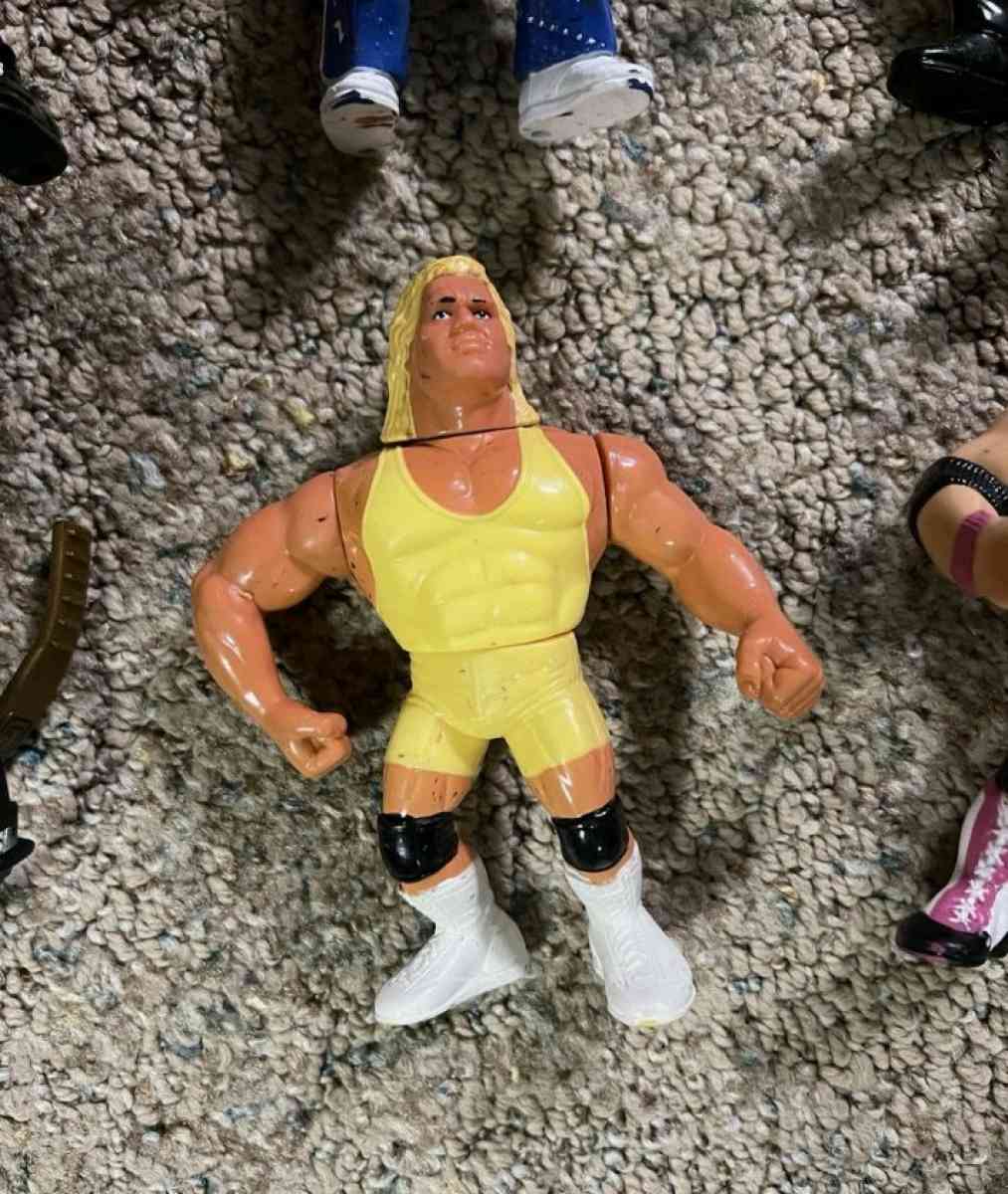 1990s Hasbro WWF Action Figures - Gainesboro, Tennessee - FleaMarketBay