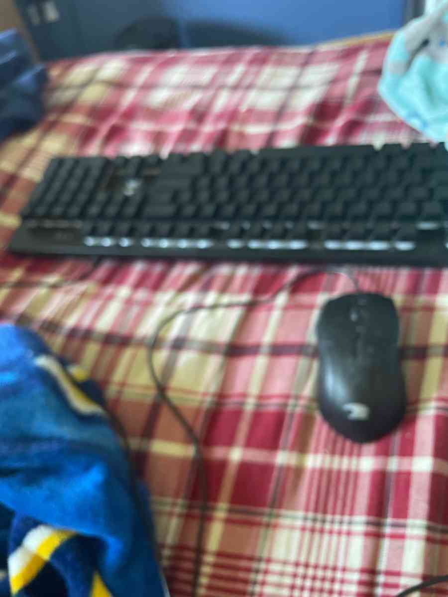 gaming mouse and keyboard - Avon, New York - FleaMarketBay