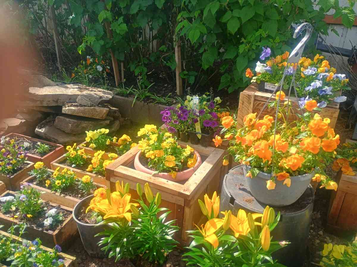 Beautiful live flower boxes tools much more - Salem, Oregon - FleaMarketBay