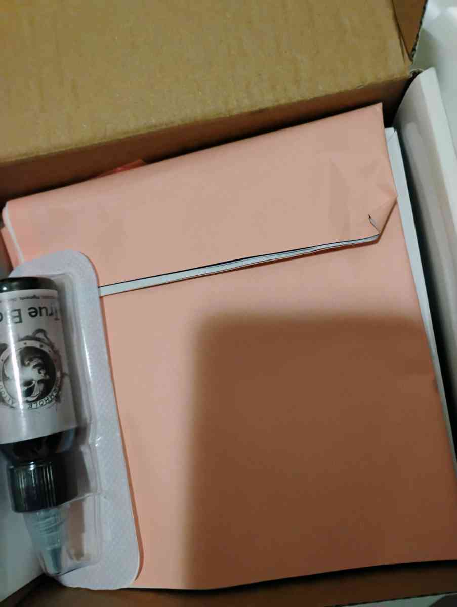 dragon hawk tattoo pen - Lemon Grove, California