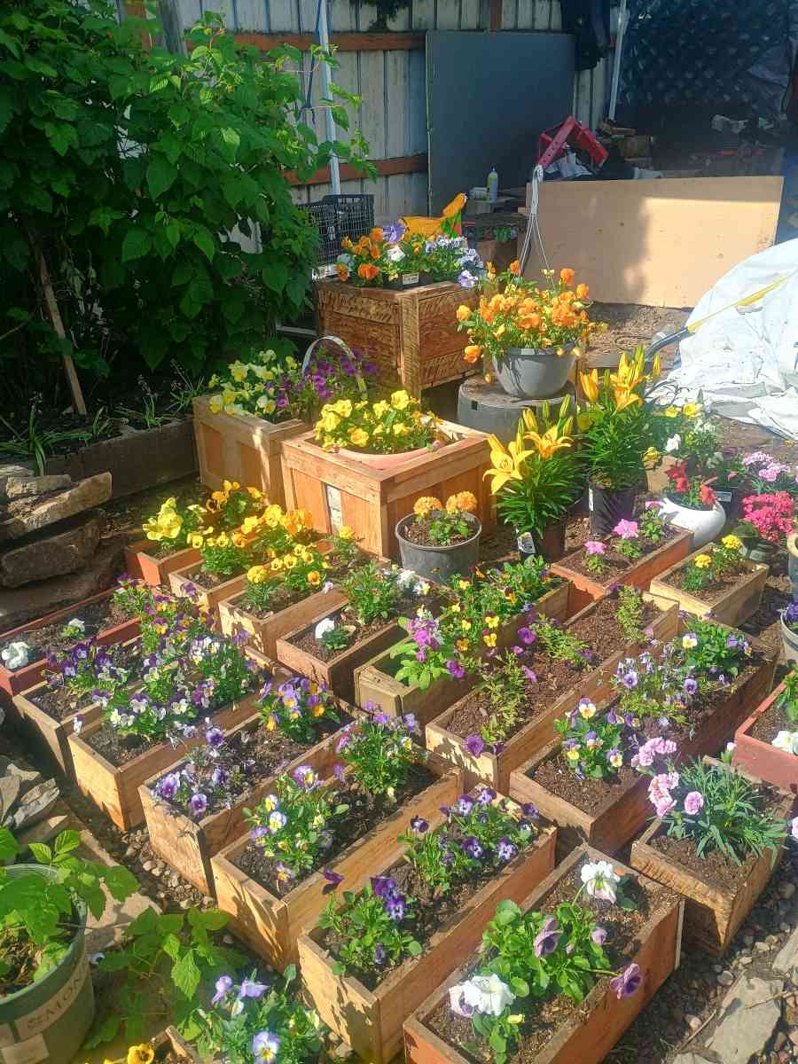 Beautiful live flower boxes tools much more - Salem, Oregon - FleaMarketBay