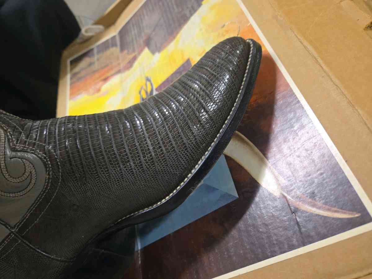 mens size lizard skin boots - Chino Hills, California - FleaMarketBay