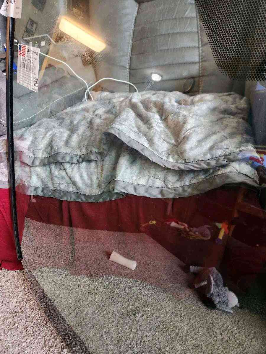 2017 Toyota Rav 4 Front Windshield - Ross, Ohio - FleaMarketBay