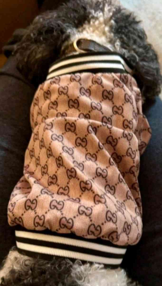 DOG JACKET  WITH GUCCI PRINT - Elysburg, Pennsylvania - FleaMarketBay