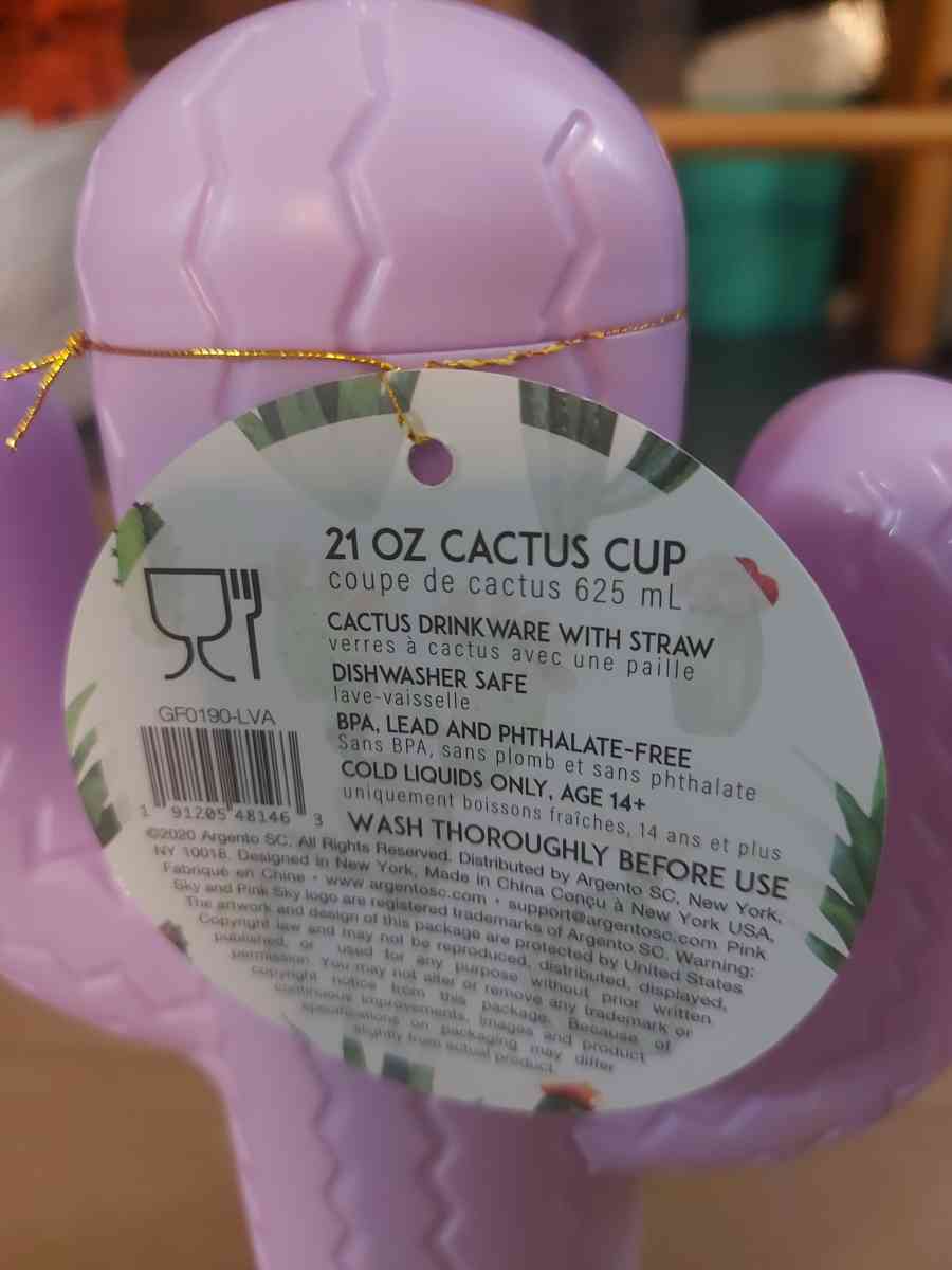 Pink Sky Lookin Sharp Cactus Cup 21 oz - Atlanta, Georgia - FleaMarketBay