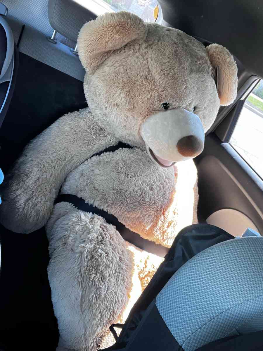 big bear 53 inch - Frankfort, Illinois - FleaMarketBay