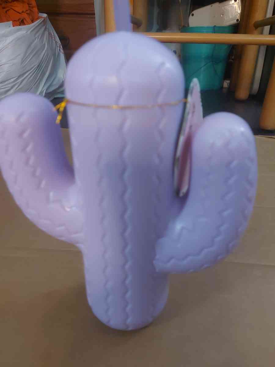 Pink Sky Lookin Sharp Cactus Cup 21 oz - Atlanta, Georgia - FleaMarketBay