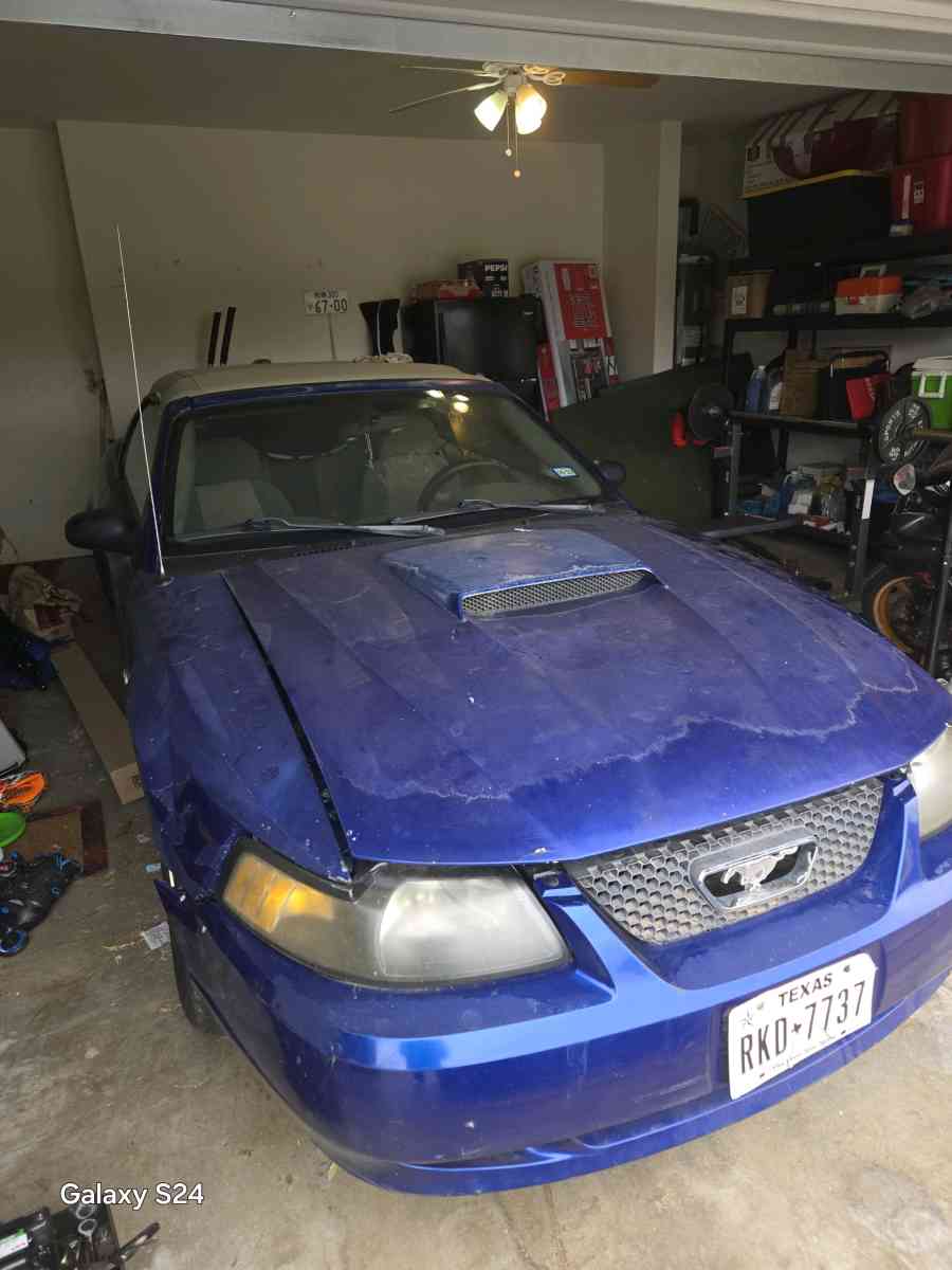 2 Mustang - Fort Worth, Texas - FleaMarketBay