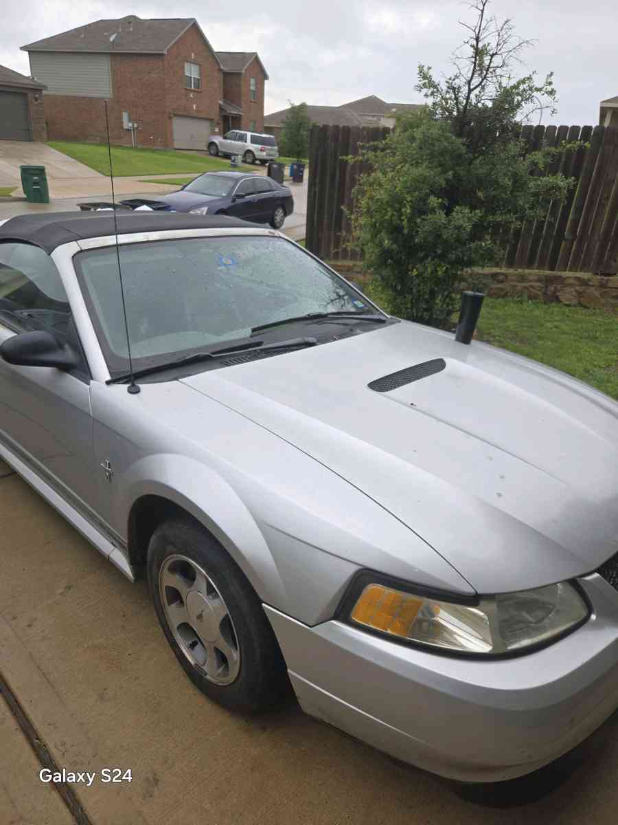 2 Mustang - Fort Worth, Texas - FleaMarketBay