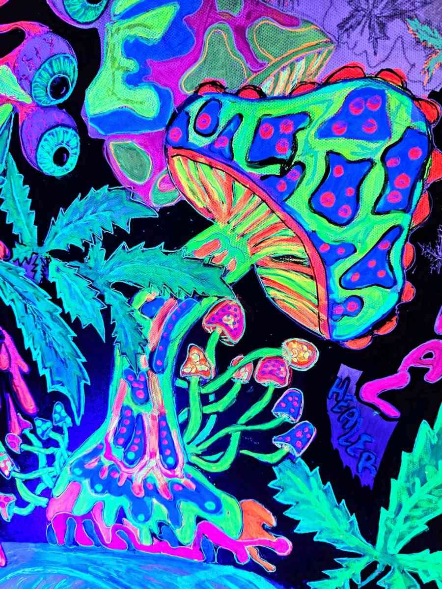 black light painting - Port Orchard, Washington