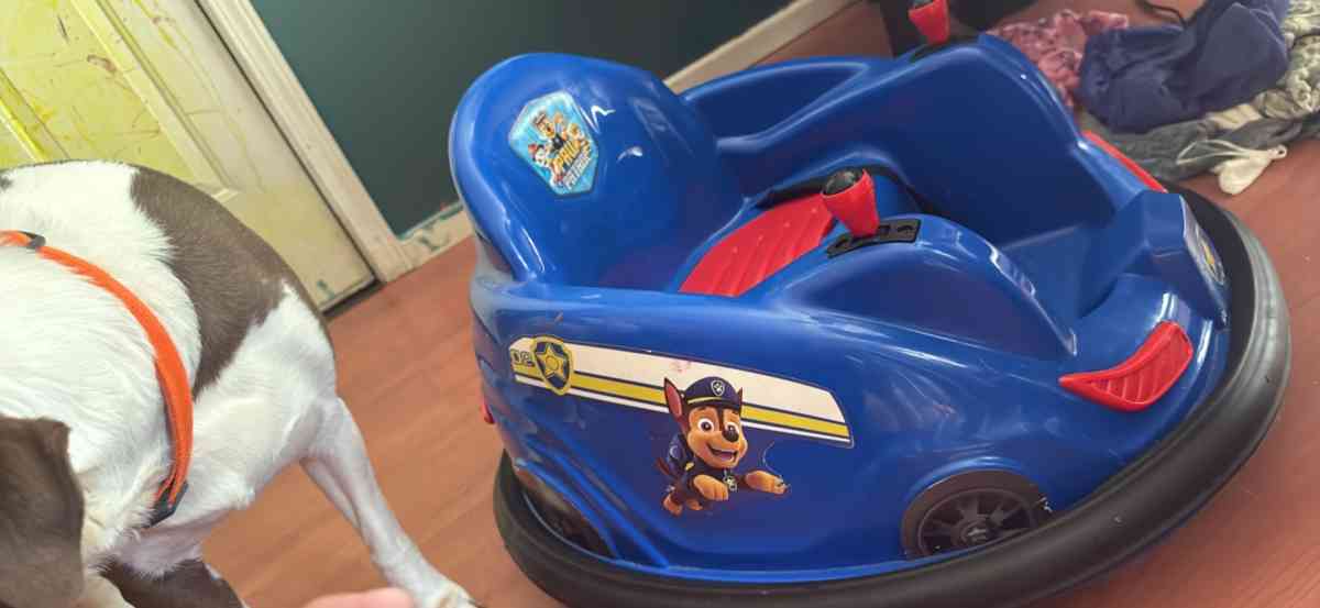 bumper car - Flint, Michigan