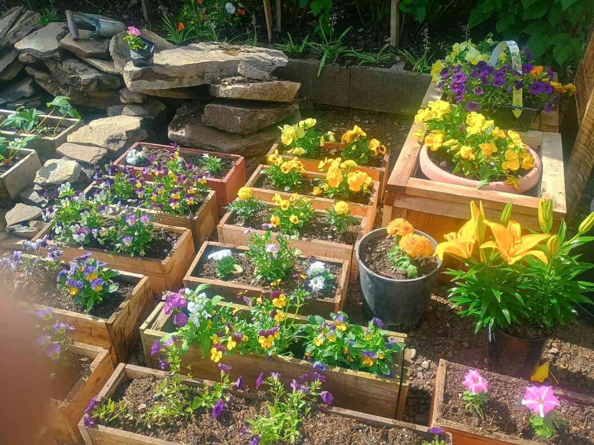 Beautiful live flower boxes tools much more - Salem, Oregon - FleaMarketBay