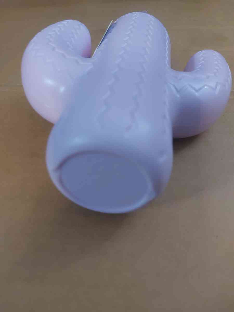 Pink Sky Lookin Sharp Cactus Cup 21 oz - Atlanta, Georgia - FleaMarketBay