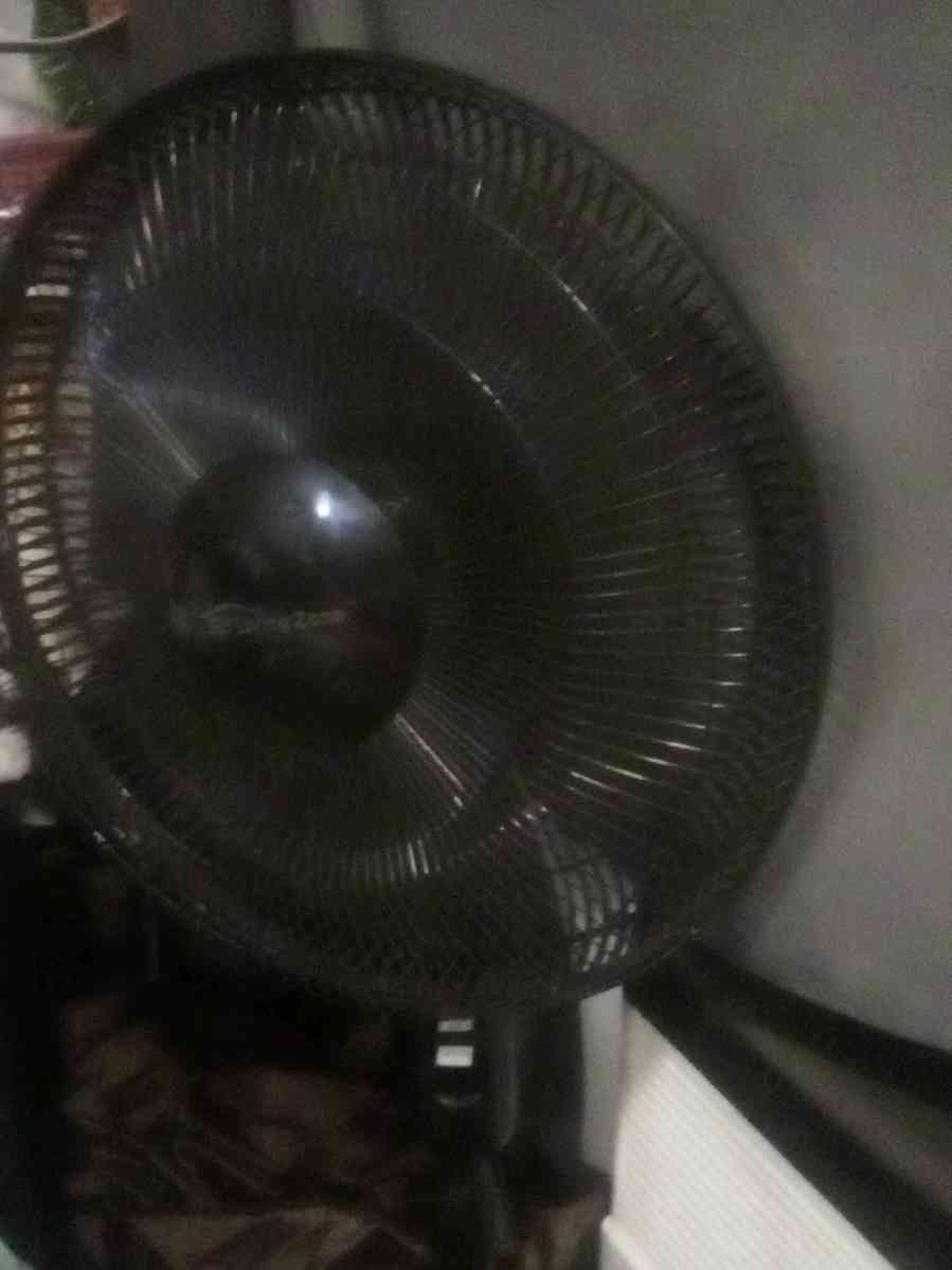 two Fans