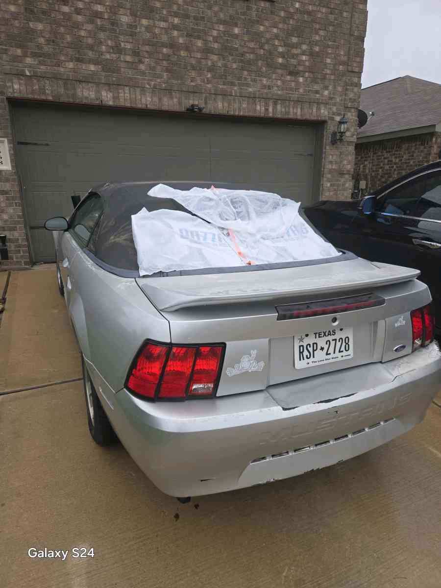 2 Mustang - Fort Worth, Texas - FleaMarketBay