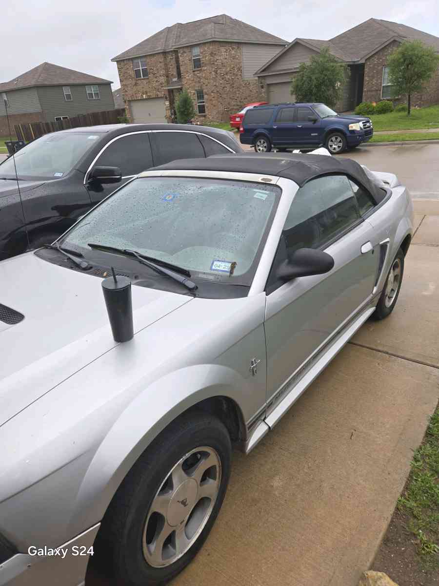 2 Mustang - Fort Worth, Texas - FleaMarketBay