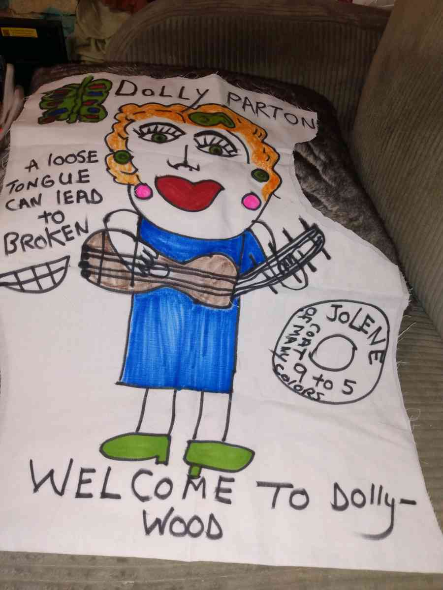 Homemade pillows with cartoons - Saint Louis, Missouri - FleaMarketBay