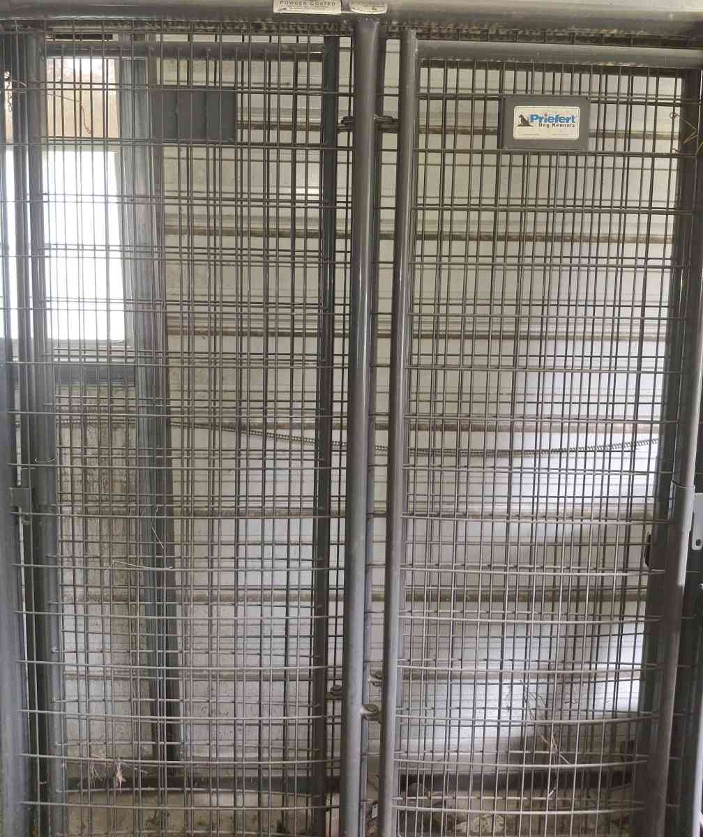 dog doors crates n more - Cottageville, South Carolina