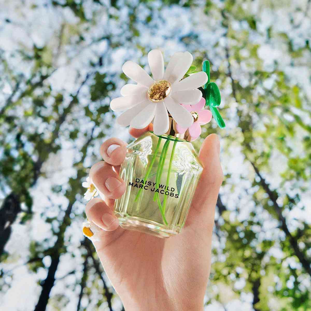 Marc Jacobs Daisy Wild - Anaheim, California